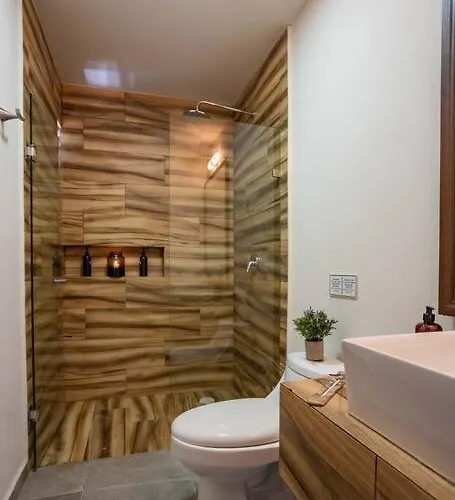 Appartement De Lujo 1 Hab, Depto. 201 *
